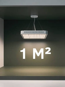 Welche LED Grow Lampe für 1 qm Grow?