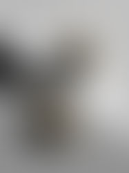 Hanfsamen keimen: Licht oder dunkel? Expertentipps & Tricks