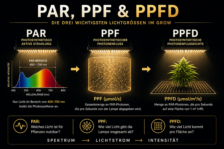 par-ppf-ppfd.png