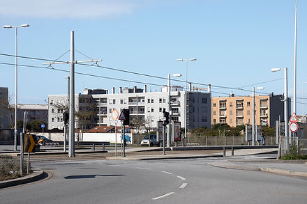 01.jpg