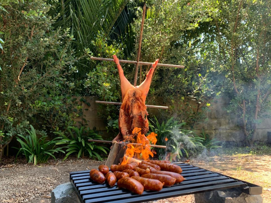 Carnívoros hipócritas