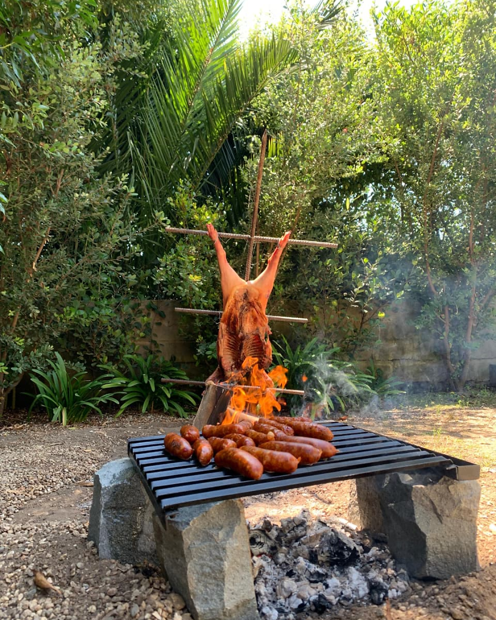 Carnívoros hipócritas