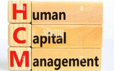 Unlocking the Path to HCM Analyst: Your Guide to Success