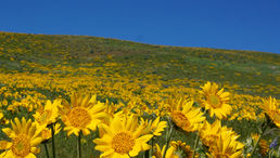 A Journey of Inner Growth and Cultural Connection