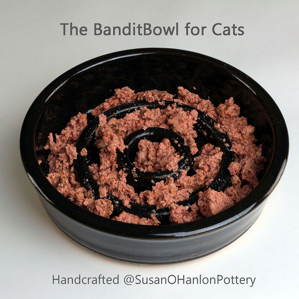 Thumbnail: The Bandit Bowl for Cats (Made To Order)
