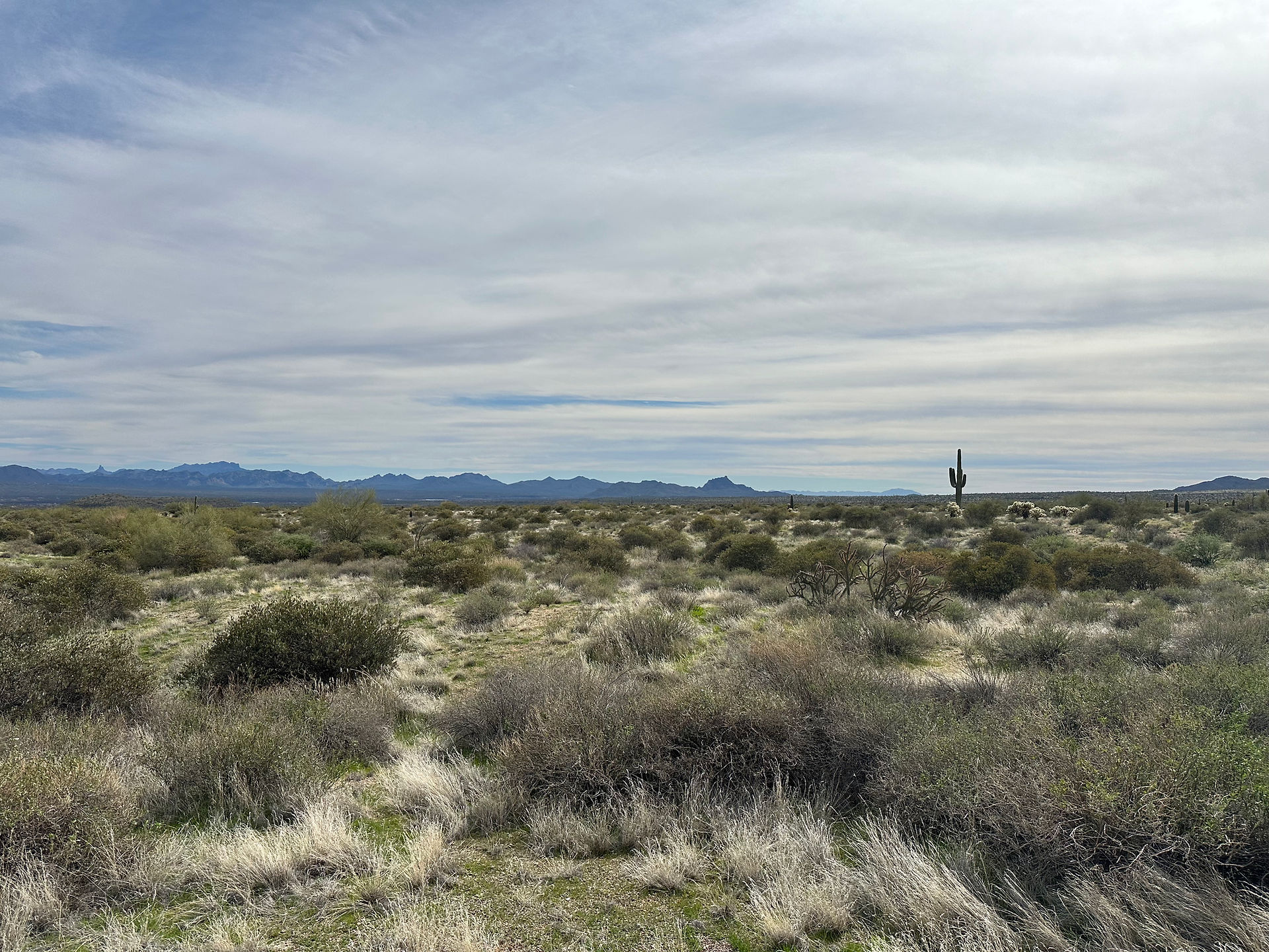 Hiking at McDowell Mountain Regional Park