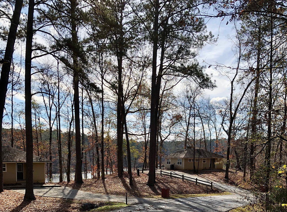 Lakeside cabins nestled in tall pines and overlooking the lake at Indian Springs Campground in Flovilla GA