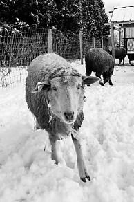 20200126_200547.jpg