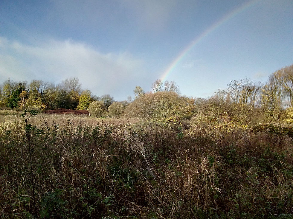 Rainbow seen Mindful contact Nature