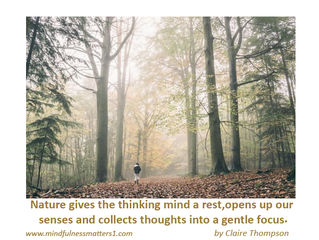 Be in nature and feel calmer