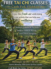 Tai chi castle park June 26.jpg