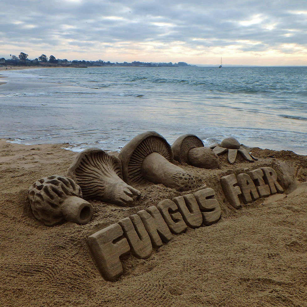 Fungus Fair Sculpture at the Wharf