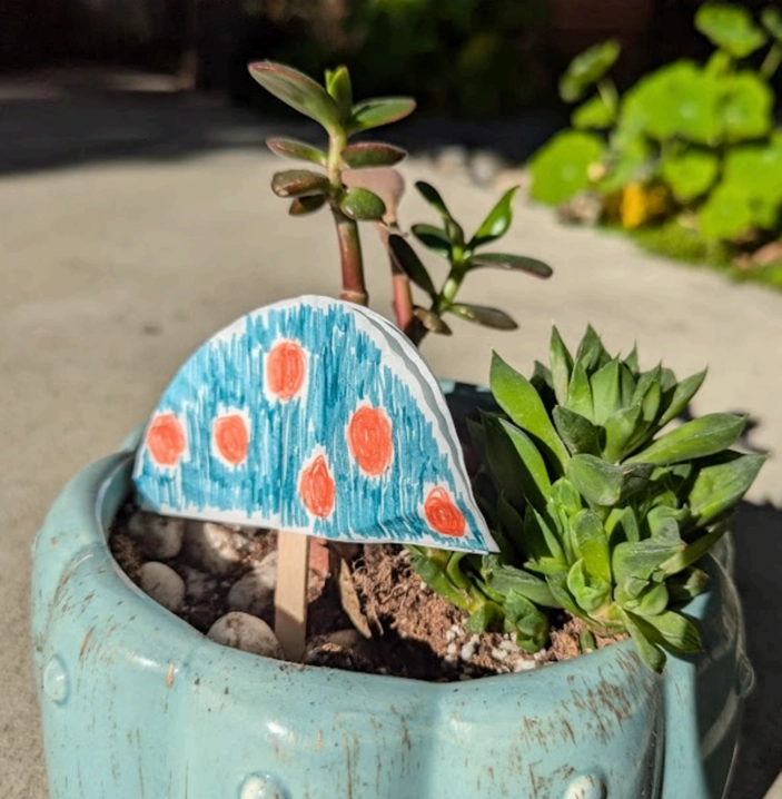 Plant your child's toadstool at home!