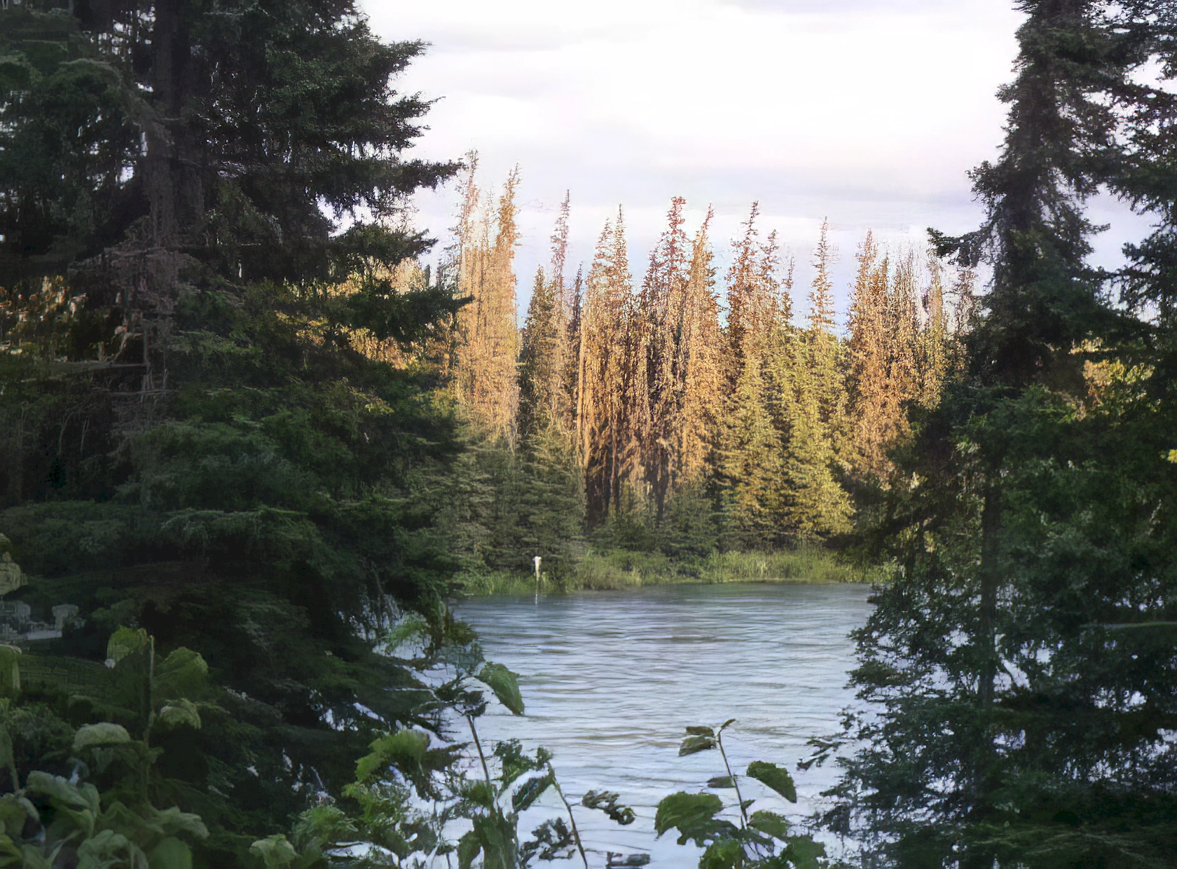 The view from the cabins at the Alaska Sport Lodge, run by Bill & Jerri White