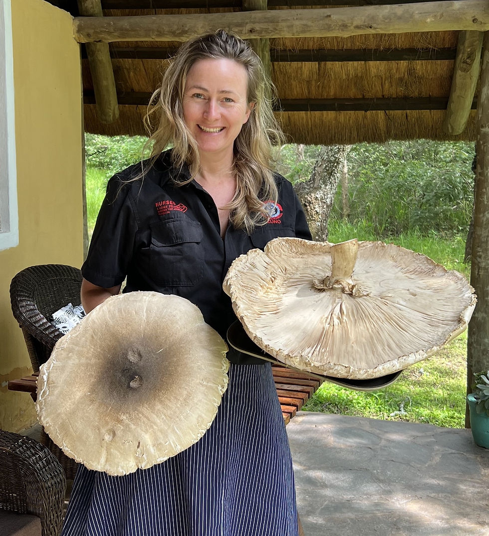 May Speaker | Mai Løvaas : "Female Mushroom Hunters of Zambia: Food, Medicine and Livelihoods"