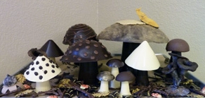 Theobrominus chinsonensis, Caffinocybe molnarii, and other rare species