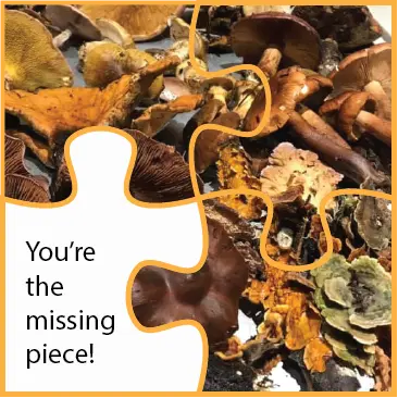 You're the missing piece! (based on photo by Katherine Elvin)