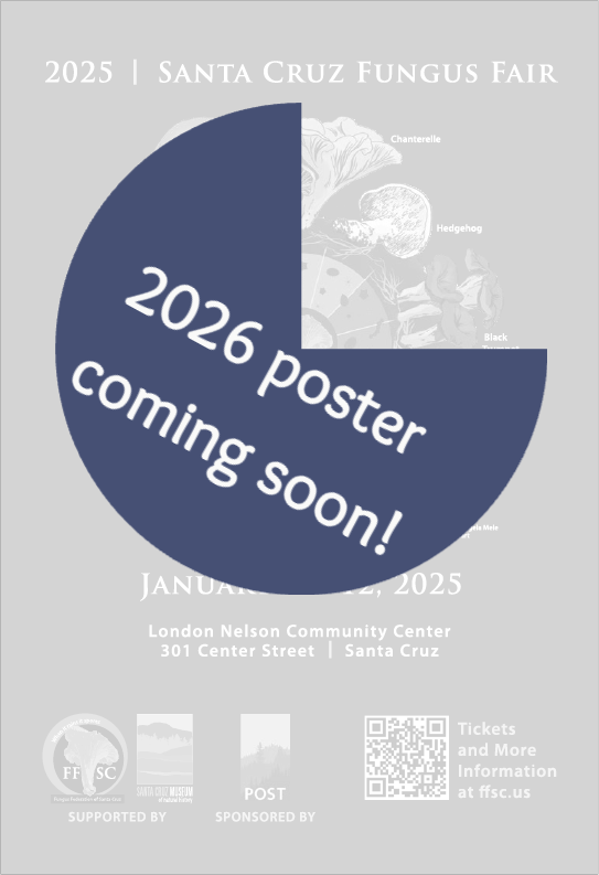 Santa Cruz Fungus Fair Logo Design Contest