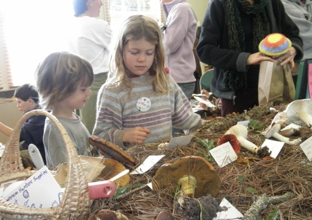 Kids at the 37th Fungus Fair. Photo by Hugh Smith