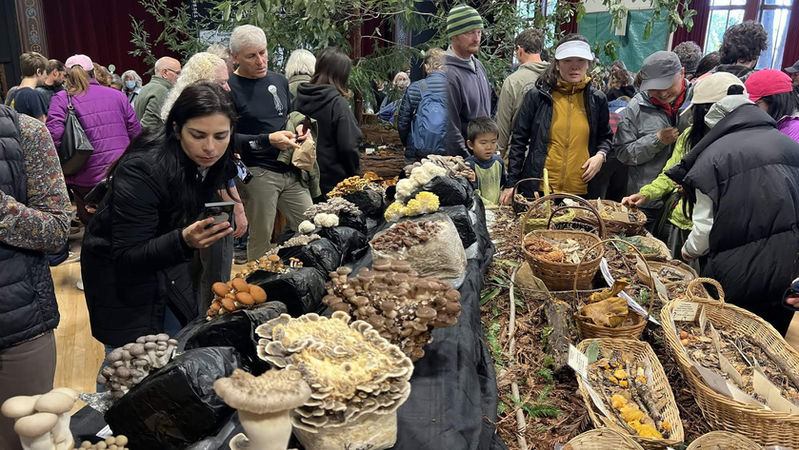 Exhibit table at the 47th Santa Cruz Fungus Fair. Photo by Hugh Smith