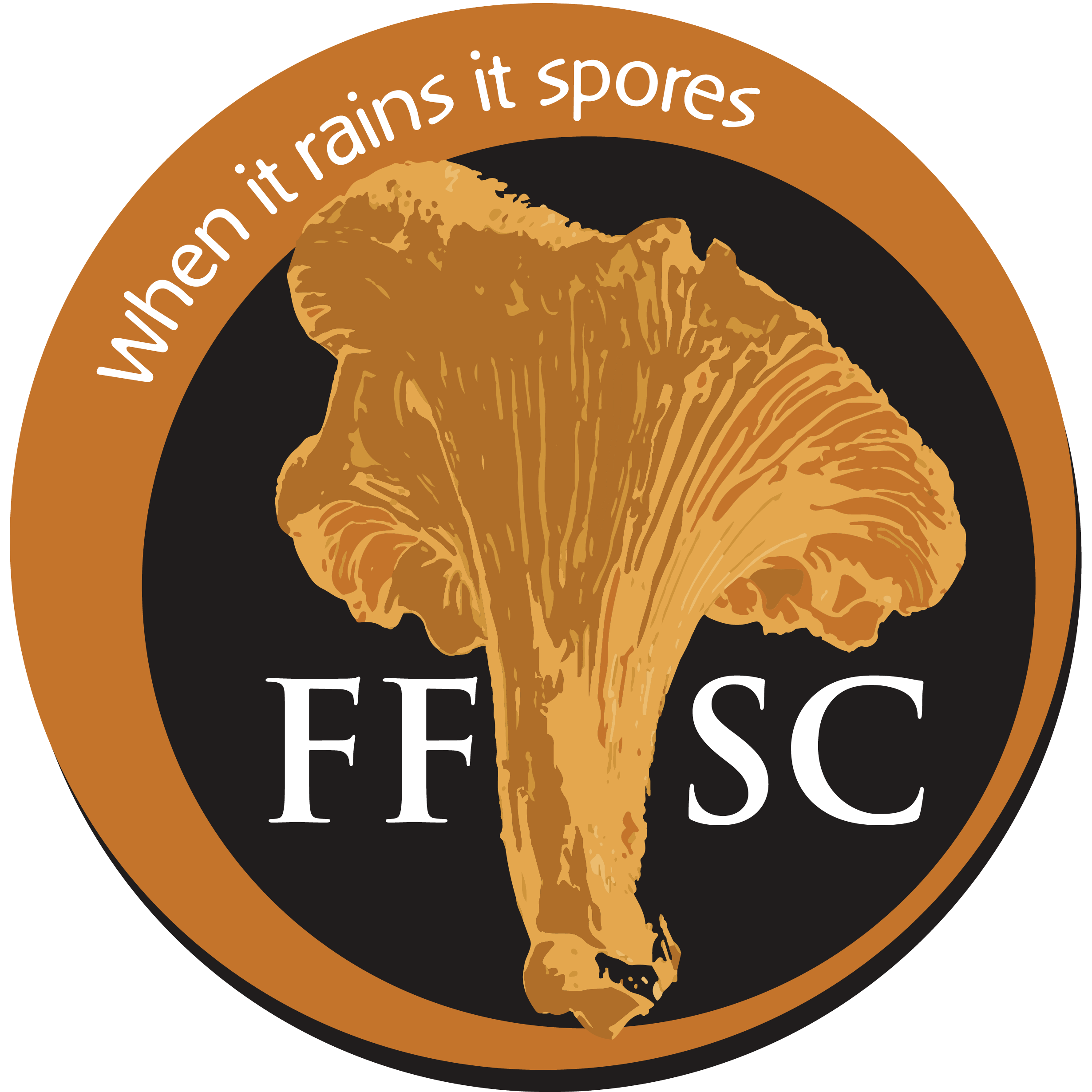 FFSC logo without full name
