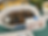 Potluck Essentials | Fungus Federation of Santa Cruz