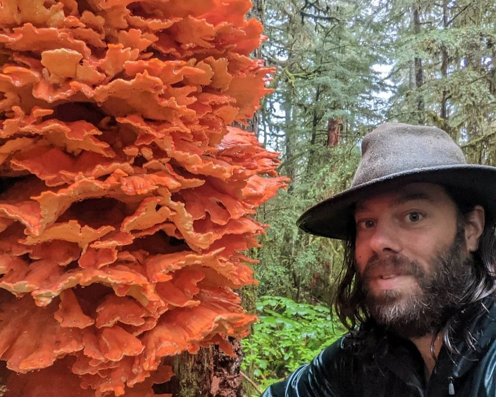September Speaker | Noah Siegel : "Cascadia — A Fungal Paradise"