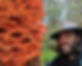 Noah Siegel | Fungus Federation of Santa Cruz