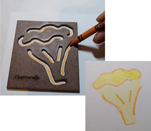 Chanterelle stencil