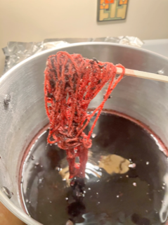 Dyeing fibers using Cortinarius smithii. Photo by Megan Simon & Joe Nudell