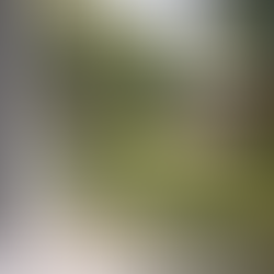 A close up of light hard water staining on an exterior window.