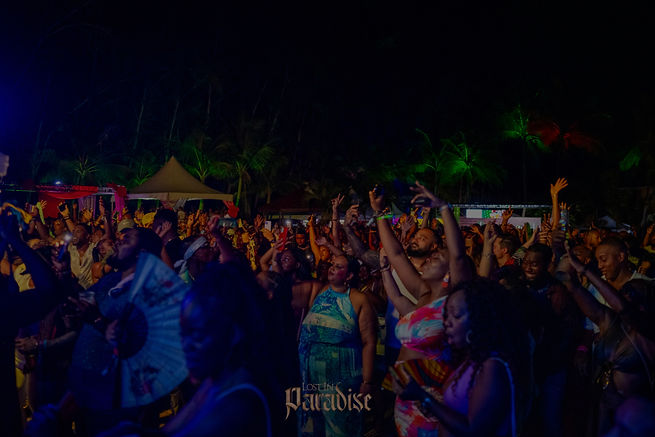 Patrons enjoying lost in paradise