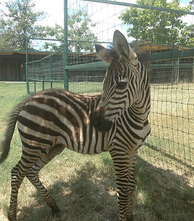 IMG_20180806_130946034_BURST000_COVER_TO