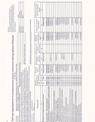 перша 001 звіт.jpg