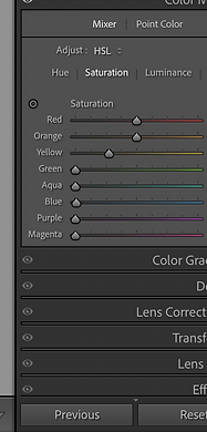 screenshot for cones settings.png