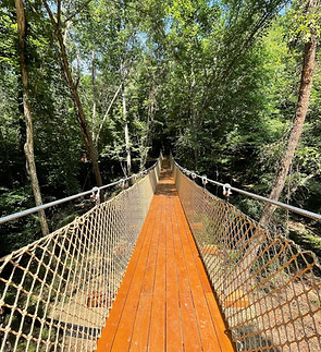 FAEEFC79-87D7-4143-AEC9-BA2025C09962 (1).jpeg