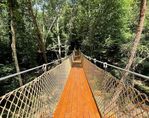 McGalliard Creek Catenary Bridge