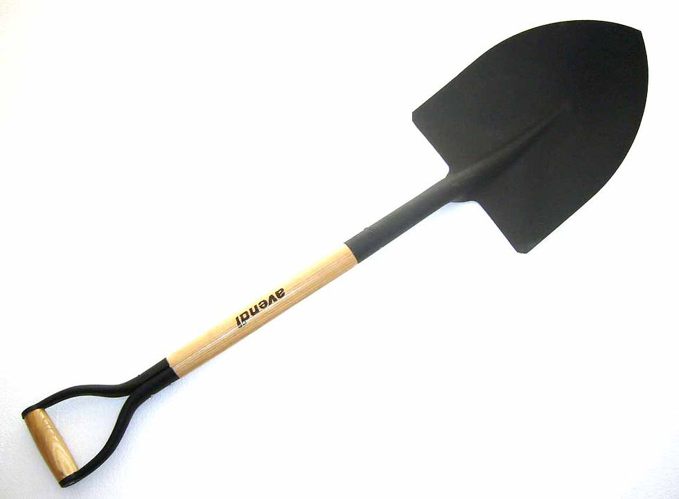 Miniatura: Pala redonda