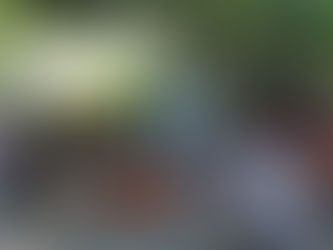 September 13th Buddy Party