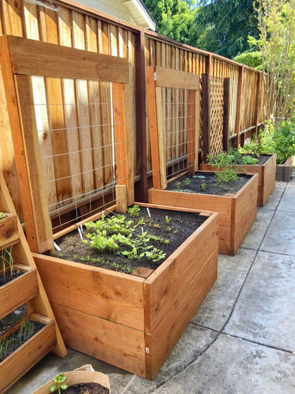 Vegetable patch