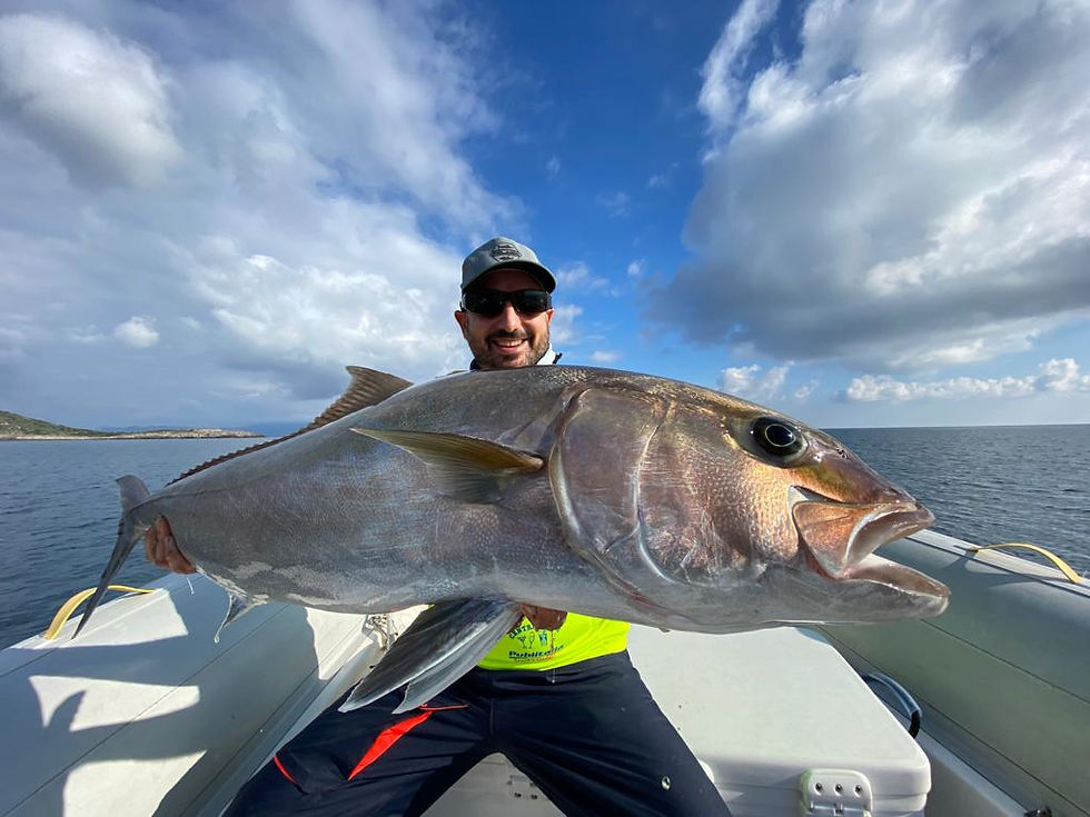Ricciole a Traina Zambofishing Adventure Giannutri Island