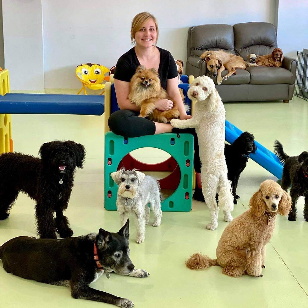 Laura - Play Time Monitor