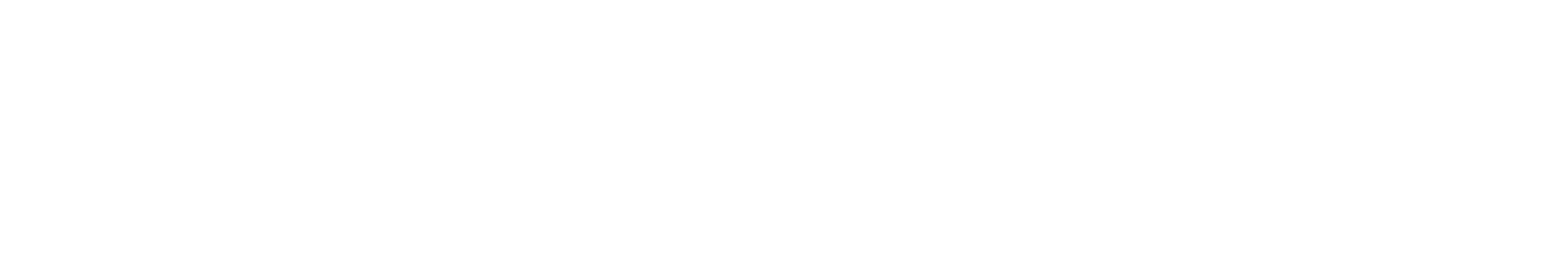 wordmark600_white_300dpi.png