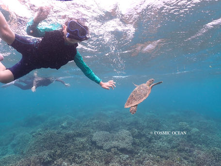 ウミガメと泳ぐシュノーケリング沖縄瀬底島