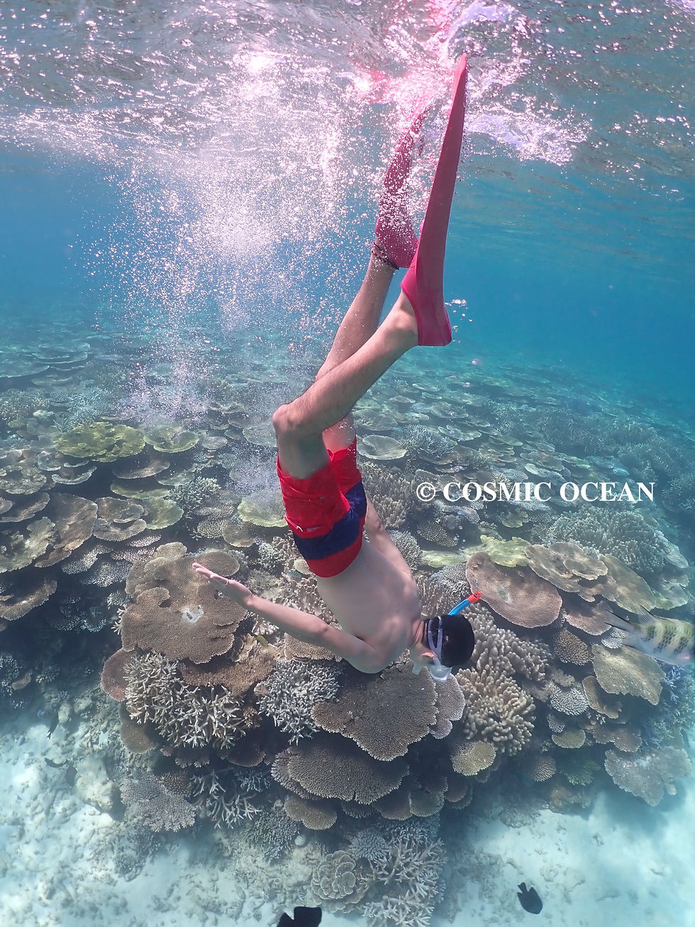 沖縄本部町コズミックオーシャンでサップとスキンダイビング