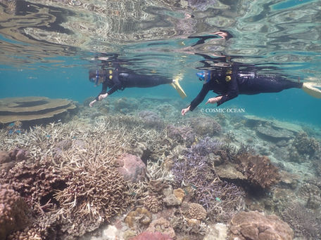 クリアーカヤックで行くシュノーケリング 沖縄本部瀬底島
