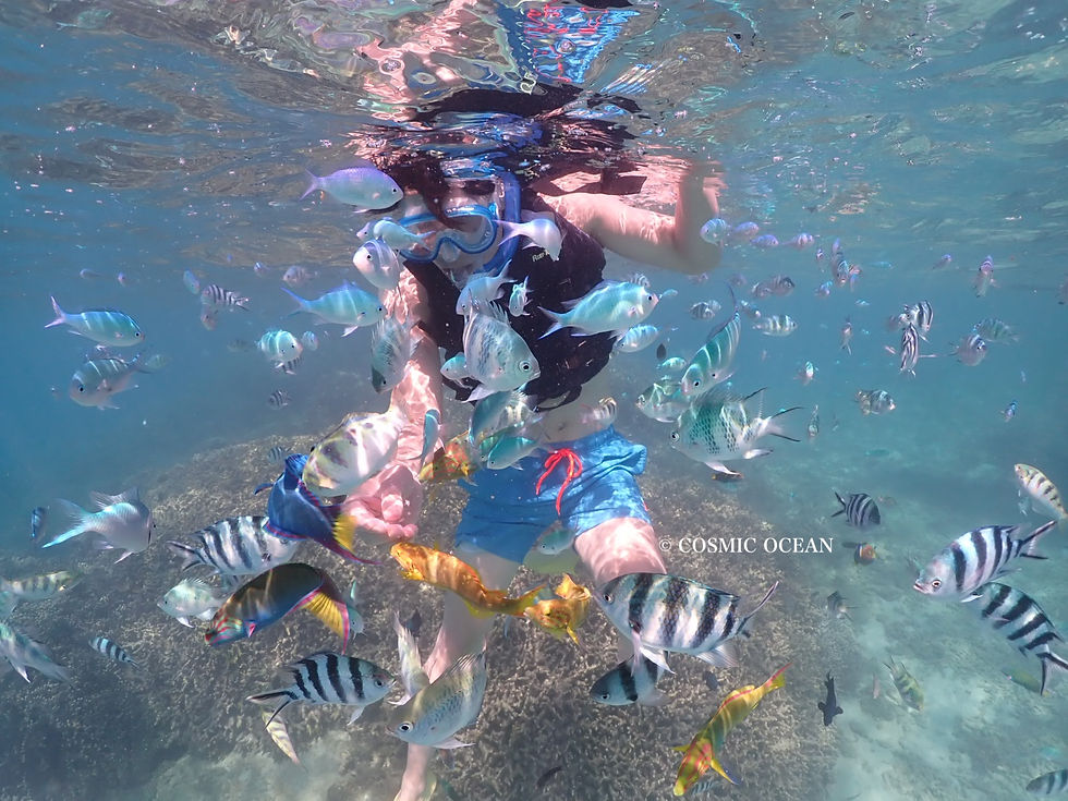 沖縄の海で熱帯魚に囲まれシュノーケリングを楽しむ観光客