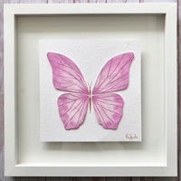 Butterfly 10