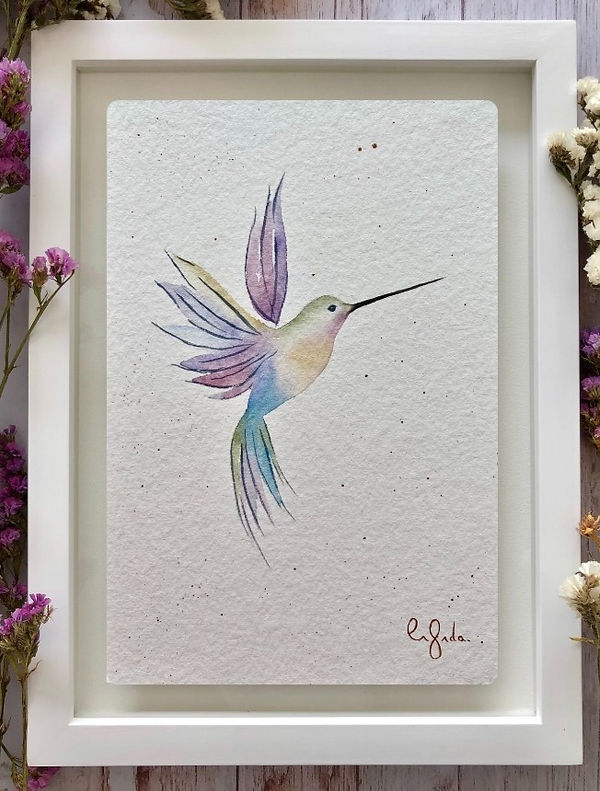 Colibrí de Ensueño