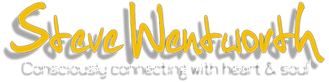 Steve Yellow Logo 2019.png